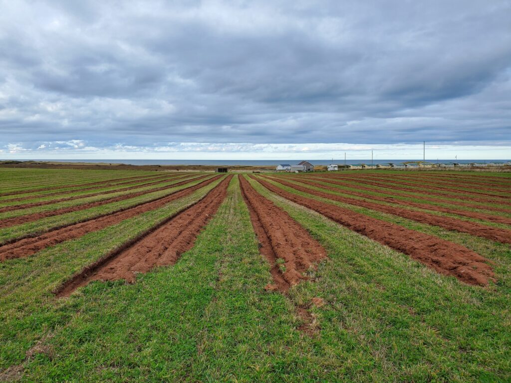 Growers Station farm field