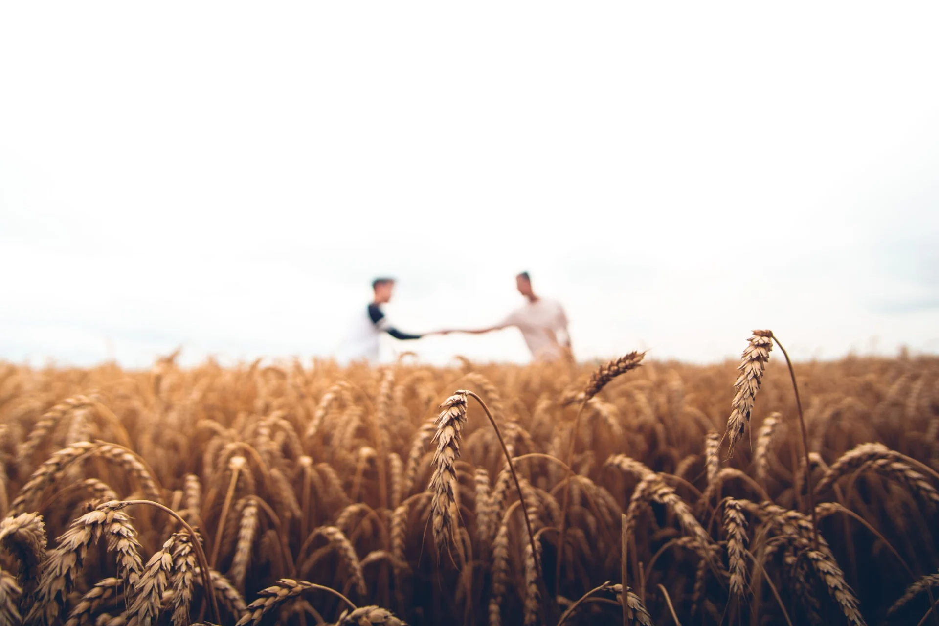 farmers shaking hands